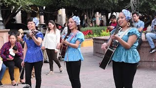 COMPARTAN Miren como tocan y bailan quotMaria Chuchenaquot Perlitas Queretanas [upl. by Anaiv]