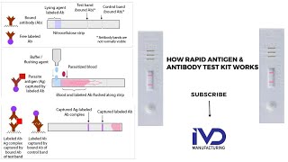 Rapid Diagnostic Tests RDTs Principle Schematic 3D Diagram PartsLateral Flow AssayIVD KITS [upl. by Novets]