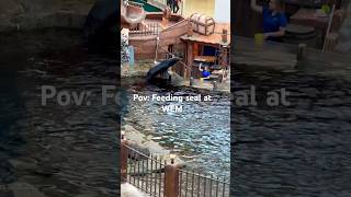 Feeding seal at WEMcanada alberta shorts short shortvideo ytshorts seal trending viralvideo [upl. by Corty568]