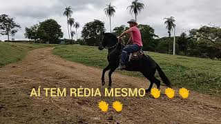 REPASSANDO CAVALO QUARTO DE MILHA [upl. by Wilhide]