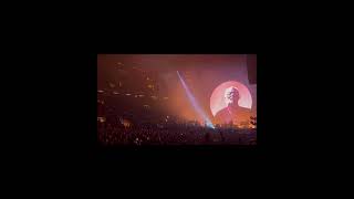 Epic NYC Adventure David Gilmour Live in Concert 🎸✨ [upl. by Nylorac558]