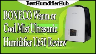 BONECO Warm or Cool Mist Ultrasonic Humidifier U650 Review [upl. by Nolahp782]