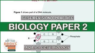 GCSE Biology Paper 2  Exam Questions and Revision [upl. by Milman]