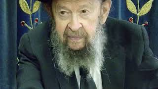 Rav avigdor millerdoes antiIsrael mean anti Semitic [upl. by Atselec381]