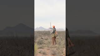 Watch quotThats A Desert Day Quail Hunting New Mexicoquot Presented by OnX Hunt and Quail Forever [upl. by Lemraj]