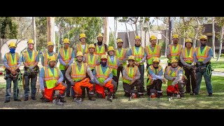 SDCCE Arborist Training Program [upl. by Clere]