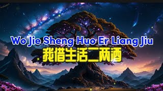 WO JIE SHENG HUO ER LIANG JIU  我借生活二两酒 tz88 chinesesong pinyinlyrics mandarinsong [upl. by Atteyram]