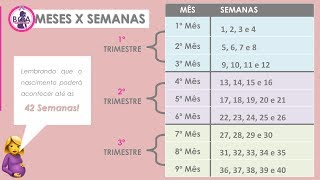 MELHOR TABELA PARA ENTENDER AS SEMANAS NOS MESES DE GRAVIDEZ  Patrícia Moreira [upl. by Devona788]