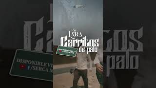 Los Lara  Carritos de Palo [upl. by Yhtac]