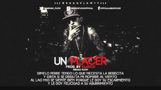 Ñengo Flow  Un Placer Letra [upl. by Milano283]