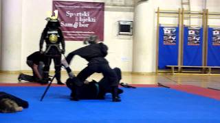 Bujinkan Seishin Dojo Croatia demonstration Samobor16062011 [upl. by Namajneb691]