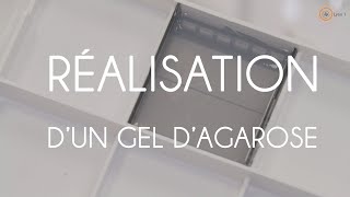 Réalisation d’un gel d’agarose avec BET [upl. by Lamb]