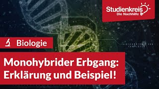 Monohybrider Erbgang Erklärung und Beispiel  Biologie verstehen mit dem Studienkreis [upl. by Egdamlat]