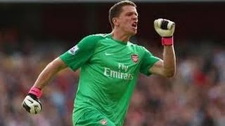 Wojciech Szczęsny  Dłonie Jak Stal 4  Remake 2014 [upl. by Ahsael359]