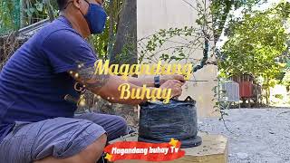 Bonsai Beginner SnCarmona RetusaFukien teaTsaang gubat [upl. by Aynod]