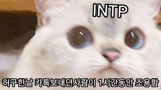 INTP 사용설명서 54 의외의 소심함 [upl. by Rriocard944]