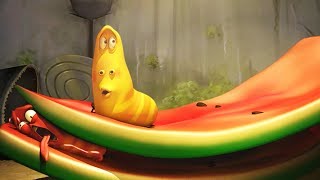 LARVA  WATERMELON  2017 Cartoon Movie  Videos For Kids  Kids TV Shows Full Episodes [upl. by Shriner]