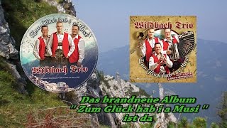 Wildbach Trio  Zum Glück hab i a Musi [upl. by Seniag]