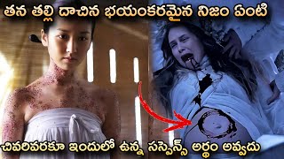 The Evil Twin Movie Explained In Telugu [upl. by Naihtniroc]