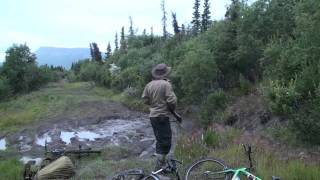 Mission Alaska Grizzly Charge during the 30 day Expedition for Alaskas Big Five Animals Fall 2011 [upl. by Nami]