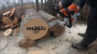 quotFirst Cuts with the New Stihl MS362C Initial Thoughts and Impressionsquot [upl. by Hayidan]