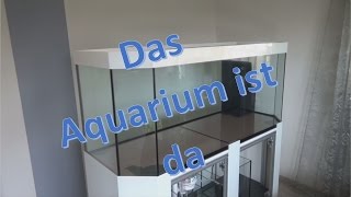 Meerwasseraquarium einrichten kann beginnen das neue Becken ist da [upl. by Codie794]