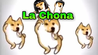 🐶Perritos bailando La Chona🐶 [upl. by Bronk]