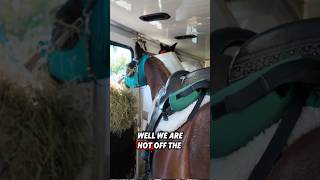 🐎5 weeks🏇endurancerace endurancehorse gopro equestrian trailriding horseriding horse [upl. by Powell]