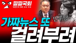 국회에서 민주당 가짜뉴스 또 걸려 개망신 가짜뉴스 박지혜 민주당박지혜 [upl. by Trill]