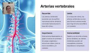 ARTERIAS DE CABEZA Y CUELLO Y MÚSCULOS Adriana Ortiz de la Peña Herrera [upl. by Ahsac]