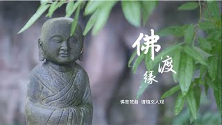 佛音梵曲 佛渡缘仁泽菩提宗师净土佛歌 [upl. by Vidovic]