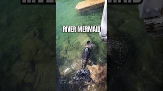 blacktailed mermaid swimming in the river [upl. by Beach]