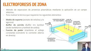 presentación Electroforesis de proteínas plasmáticas [upl. by Carroll]