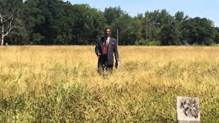 Flint Councilman Eric Mays calls for more grass and weed cutting [upl. by Ddart]