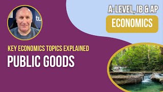 Public Goods Explained for A Level amp IB Economics [upl. by Aicen]