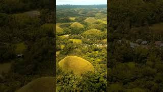 explore the Amazing Chocolate Hills of Bohol Philippines [upl. by Hannahs938]