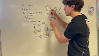 Afterload Preload and Auxotonic contraction in the Heart Cardiophysiology [upl. by Arny643]