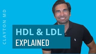 Understanding HDL amp LDL Cholesterol – Cholesterol Ratios Explained [upl. by Anawit307]