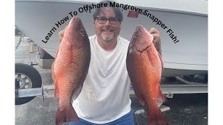 EPIC Offshore Mangrove Snapper Fishing [upl. by Betthezul]