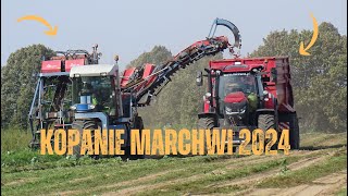 ✔Kopanie Marchwi 2024  ☆ 2 Zestawy ☆ ✔NOWY NABYTEK [upl. by Tjader157]