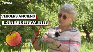 🌳 Comment identifier la variété de fruits dans votre jardin 🍎 [upl. by Aicia]