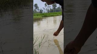 Amazing Boy Finger Hook Fishing Challenge Videofishingfishshorts [upl. by Anela]