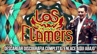 Los Flamers  los flamers mix  los flamers descargar mega [upl. by Yttel272]