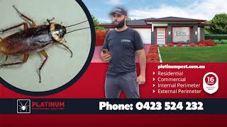 Platinum Pest Control Solutions  Phone 0423 524 232 [upl. by Tremain]