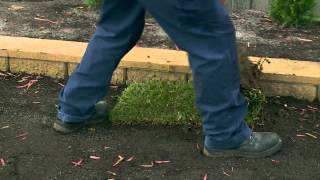 How To Lay Instant Turf  DIY At Bunnings [upl. by Atinel749]