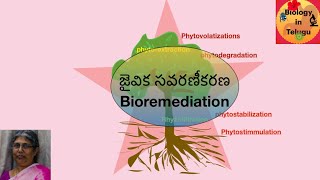 జైవికసవరణీకరణ  Bioremediation [upl. by Anehsat448]