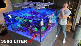 GERMAN REEF TANKS  massive saltwater aquarium 920 gallon private tour [upl. by Eirojam]