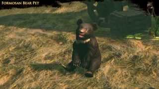 Path of Exile  Formosan Bear Pet [upl. by Vinn]