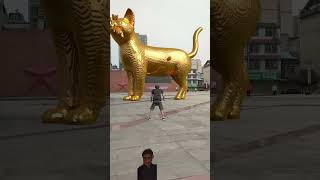 A boy throws a ball to unblock the golden statue of the big cat in the square Original golden stat [upl. by Einot]