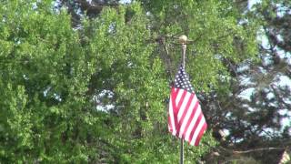 AntiAnxiety Flag of the United States Blowing in Wind One Hour Long [upl. by Sheline]